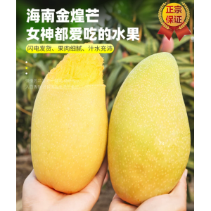 海南金煌芒果新鲜水果当季整箱