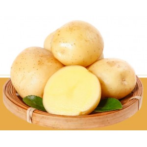 湖北恩施小土豆10斤包邮新鲜黄心士豆批发马铃薯蔬菜迷你正宗洋芋